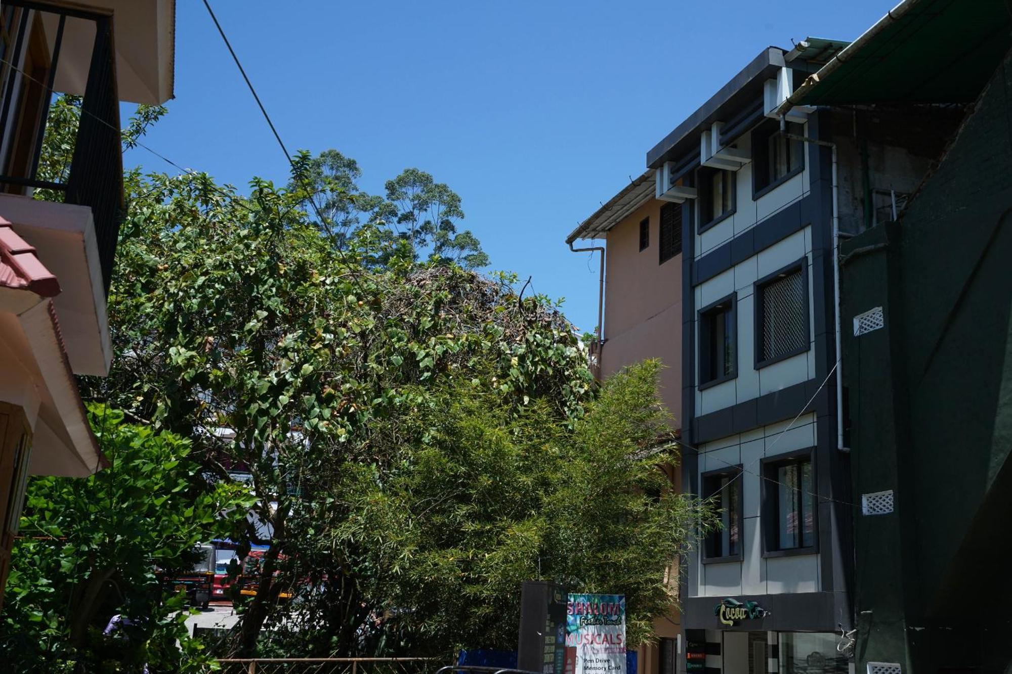Oyo Hotel Cocoa Tree Munnar Zewnętrze zdjęcie